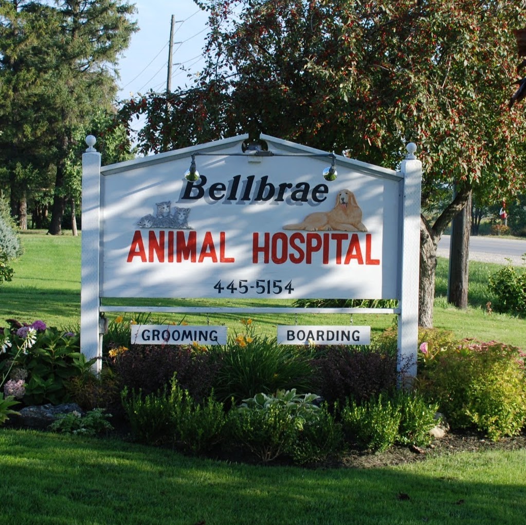 Bellbrae Animal Hospital | 4538 Simcoe County Rd 124, Collingwood, ON L9Y 3Z1, Canada | Phone: (705) 445-5154
