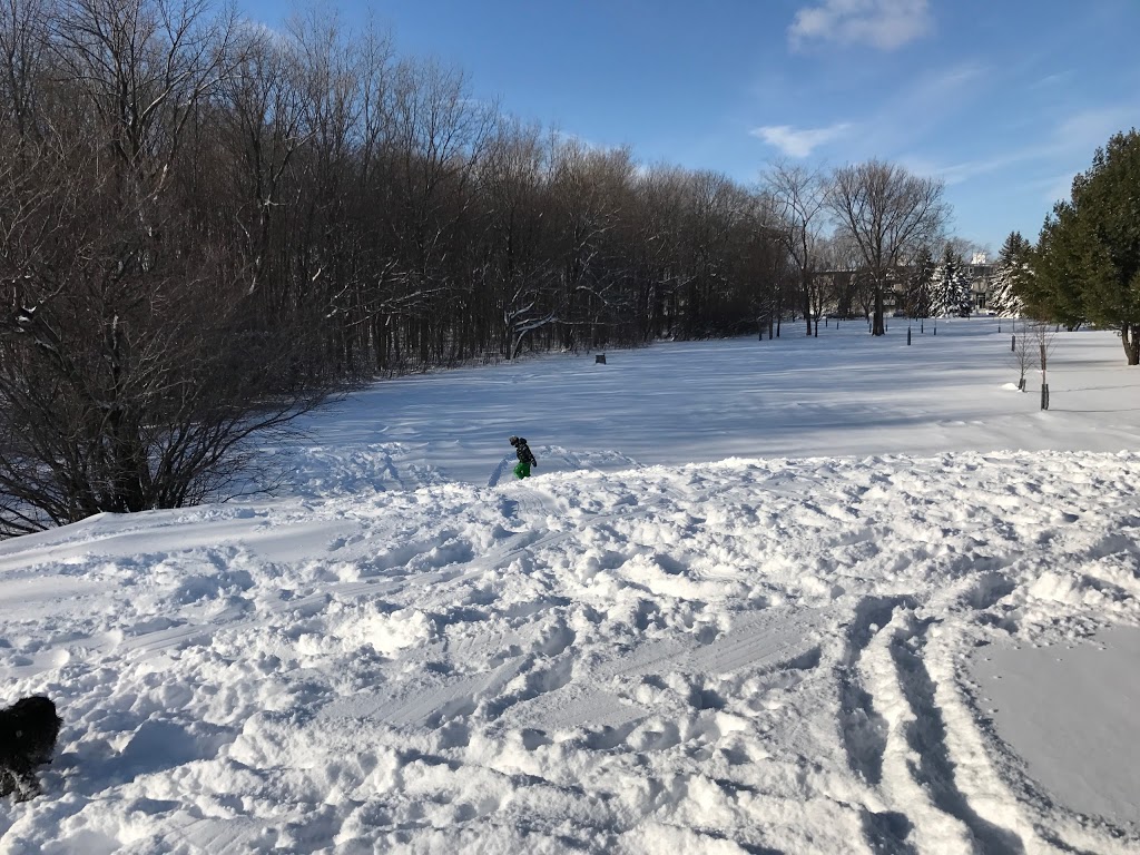 Parc Thomas-Chapais | Mercier-Hochelaga-Maisonneuve, Montreal, QC H1K, Canada | Phone: (514) 872-0311
