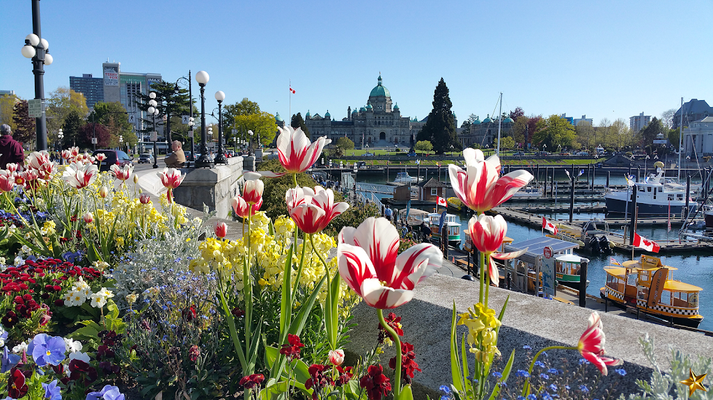 City Top 10 | 2300 Compass Pointe Pl, Victoria, BC V9B 6X4, Canada | Phone: (250) 686-1799