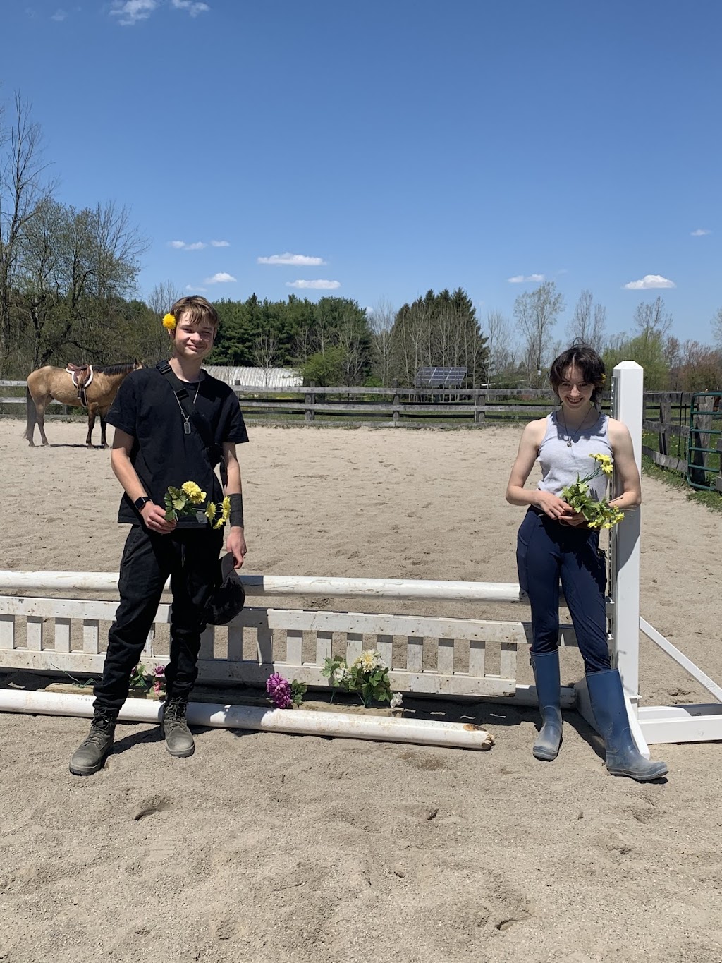 Bridlewood Equestrian | 8735 Milburough Town Line, Milton, ON L0P 1B0, Canada | Phone: (905) 407-0827