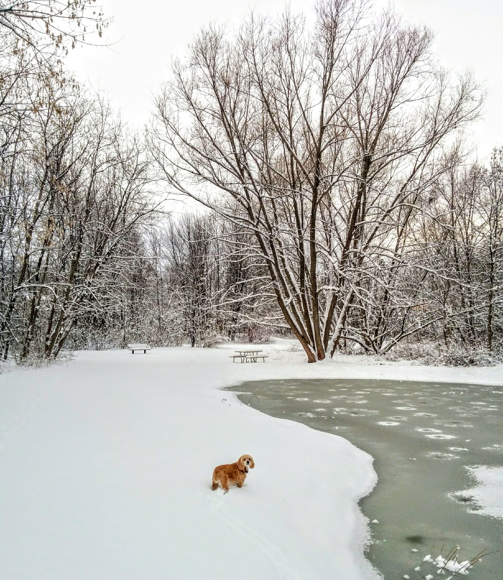 Youngs Pond Park | Katimavik - Hazeldean, Ottawa, ON K2L, Canada