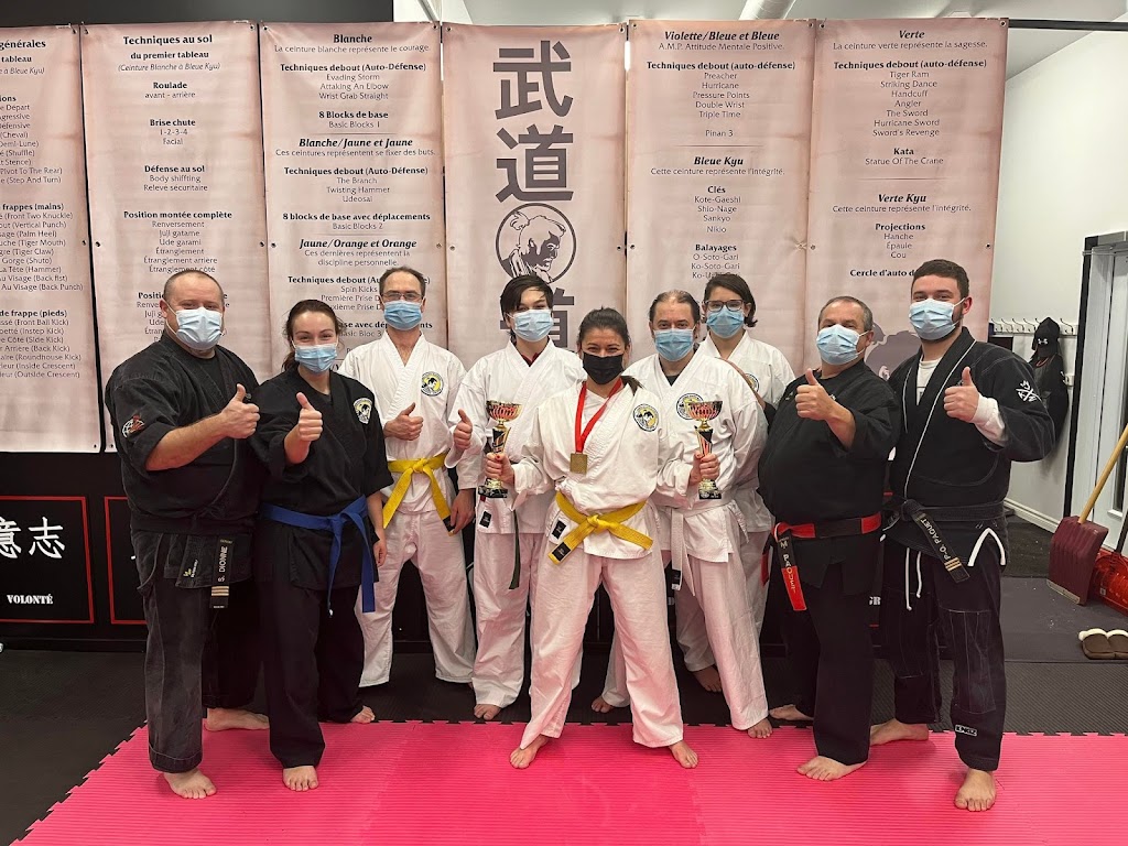 Dojos Martial Arts St-Henri | 75 Rte Campagna, Saint-Henri, QC G0R 3E0, Canada | Phone: (581) 922-1299