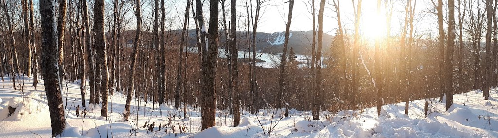 La Chouette Refuge at Mont-Sourire | Saint-Donat-de-Montcalm, QC J0T 2C0, Canada | Phone: (819) 424-2833