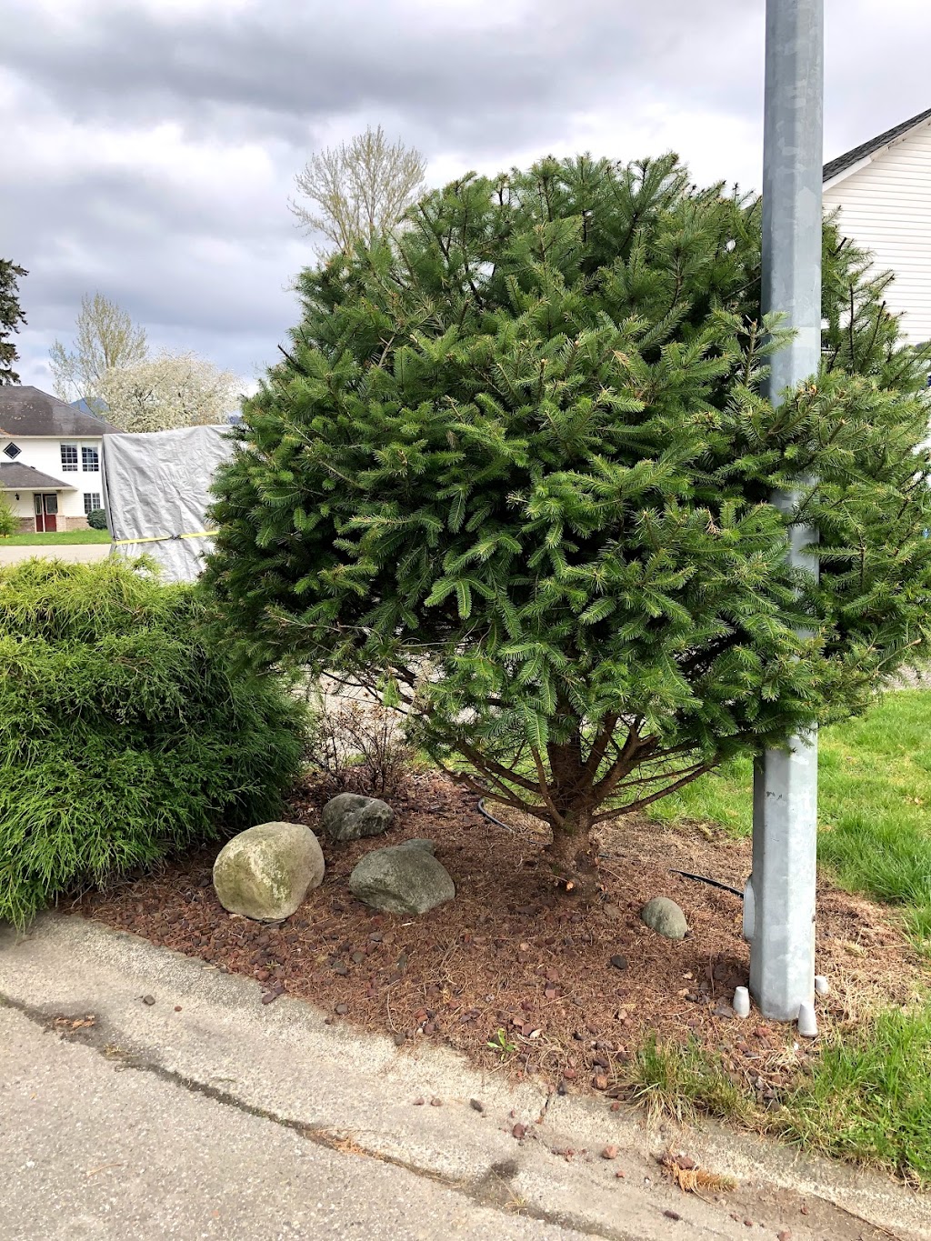 Live Well Landscaping | 4565 Tyler St, Chilliwack, BC V2R 5C1, Canada | Phone: (604) 791-8823