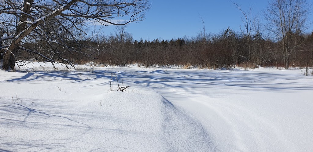 Harold Town Conservation Area Mountain Bike Trails | 2611 Old Norwood Rd, Peterborough, ON K9J 6X8, Canada | Phone: (705) 745-5791