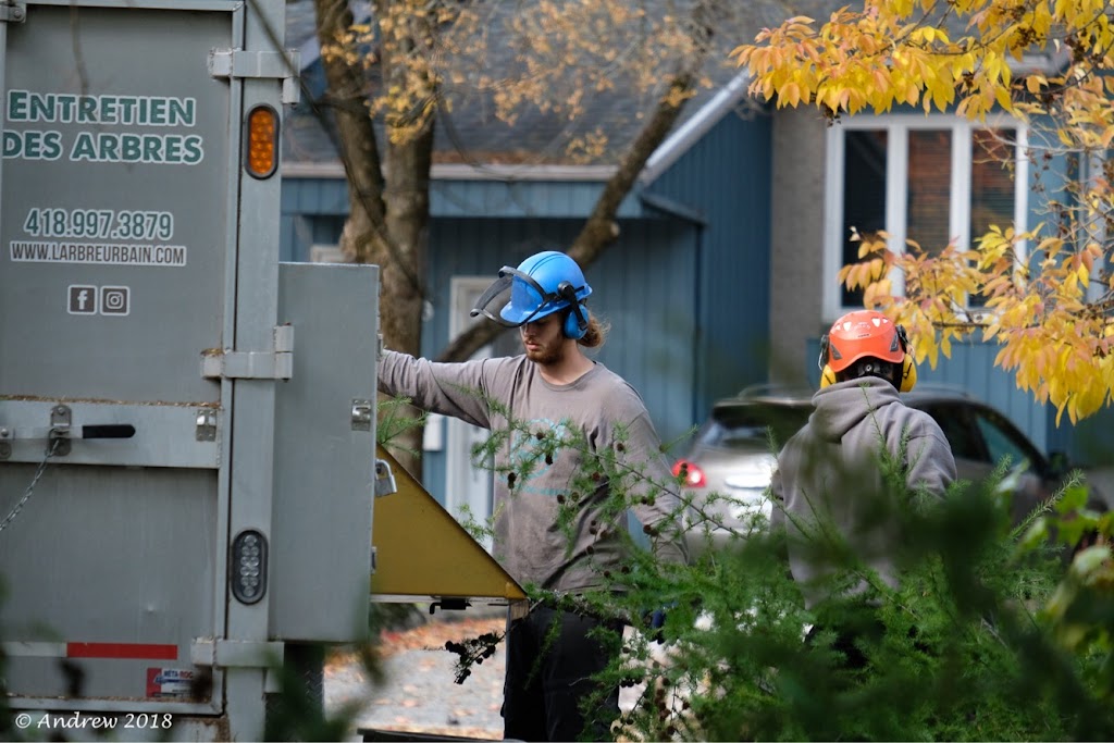 LArbre Urbain | 2043 Av. des Martyrs, Québec, QC G1E 4H6, Canada | Phone: (418) 997-3879