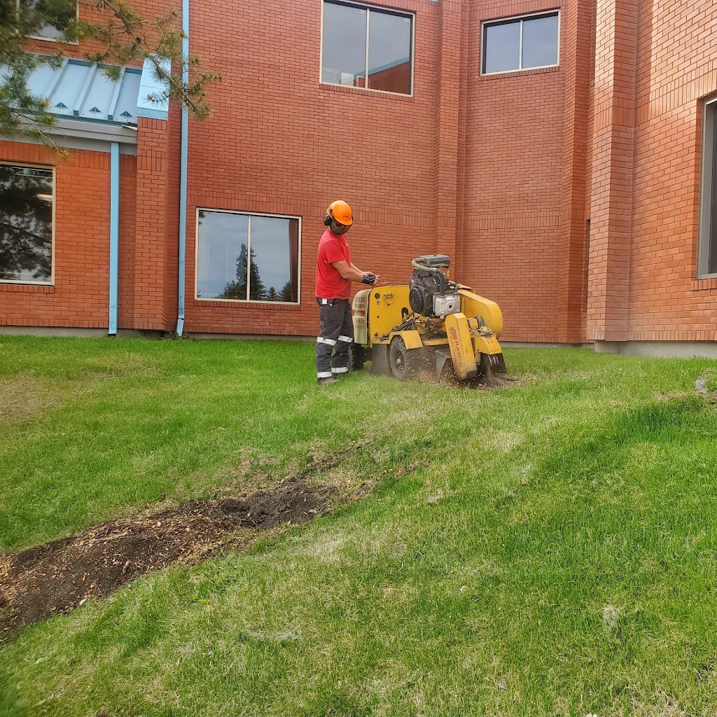 Razors Edge Tree Service | 6801 42a Ave, Camrose, AB T4V 3S4, Canada | Phone: (780) 679-7785
