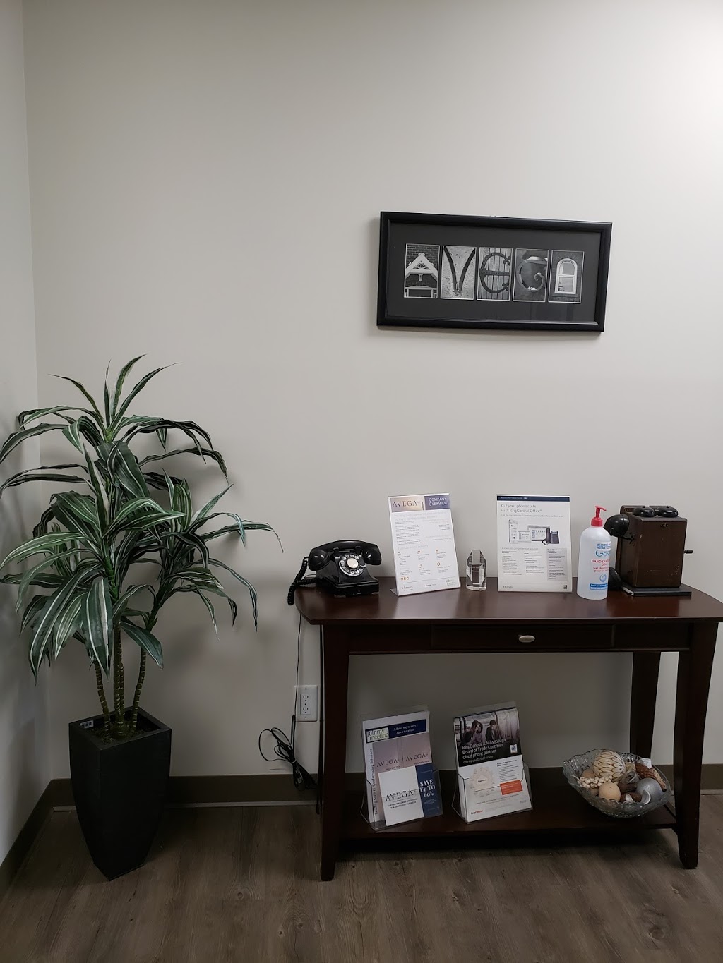 Avega Inc. | 301-1599 Hurontario St, Mississauga, ON L5G 4S1, Canada | Phone: (905) 828-7886