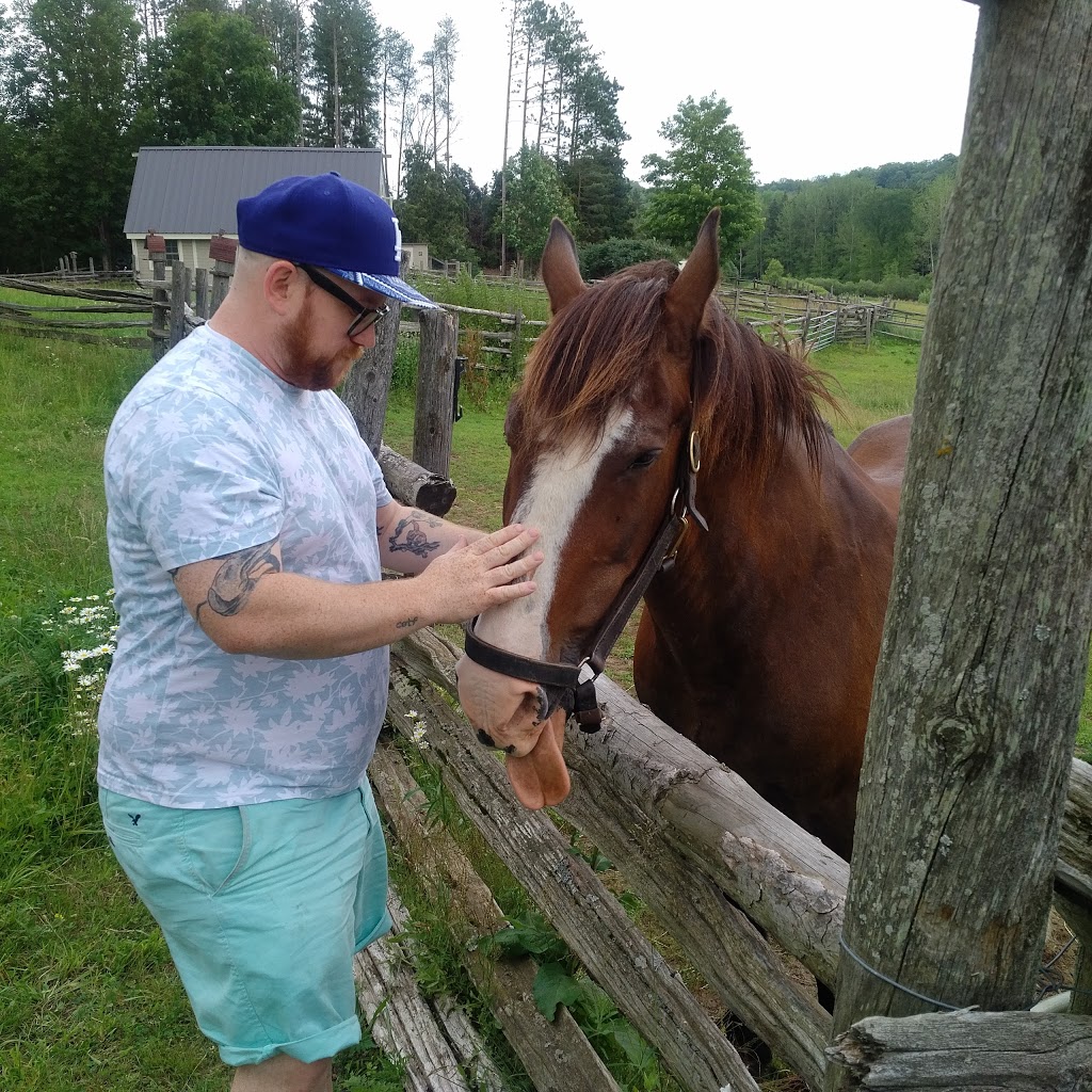 Laurenwood Farm | 2100 Concession Rd 5, Loretto, ON L0G 1L0, Canada | Phone: (905) 936-4592