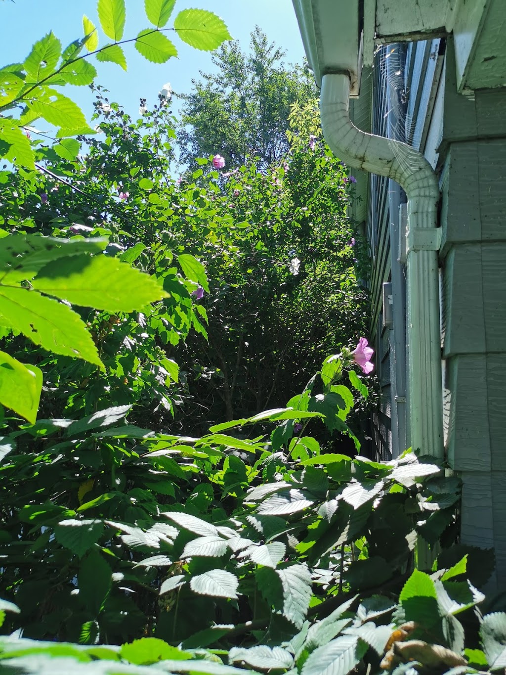 Zone Control "Property Maintenance" | 10 Dunkeld Ave, St. Catharines, ON L2M 4A5, Canada | Phone: (905) 380-3146