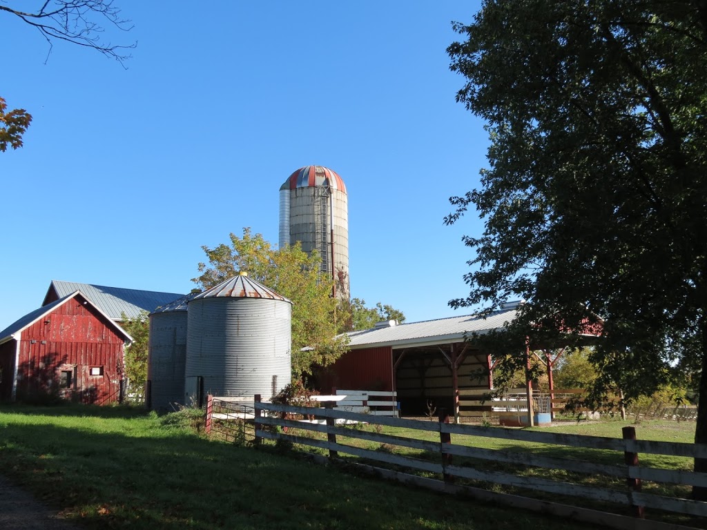 Datrix Alpacas @ Blue Barn Farm | 137 Grassy Rd, Omemee, ON K0L 2W0, Canada | Phone: (705) 799-2127