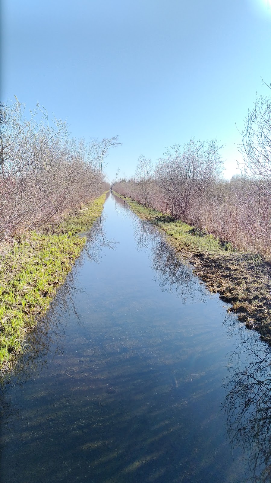 Dunsford Nature Trail | Kawartha Lakes, ON K0M 1L0, Canada