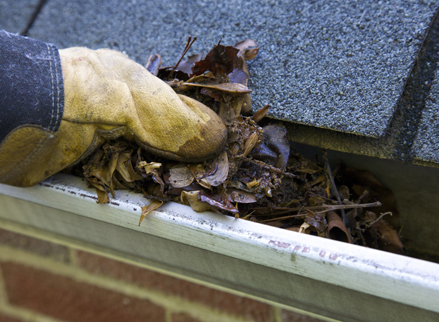 Class A Service Ltd | 714 St Marys Rd, Winnipeg, MB R2M 3N2, Canada | Phone: (204) 233-6456