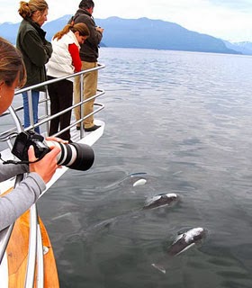 Alaskan Song - Yacht Cruises | 1 Bellwether Way, Bellingham, WA 98225, USA | Phone: (360) 510-2213