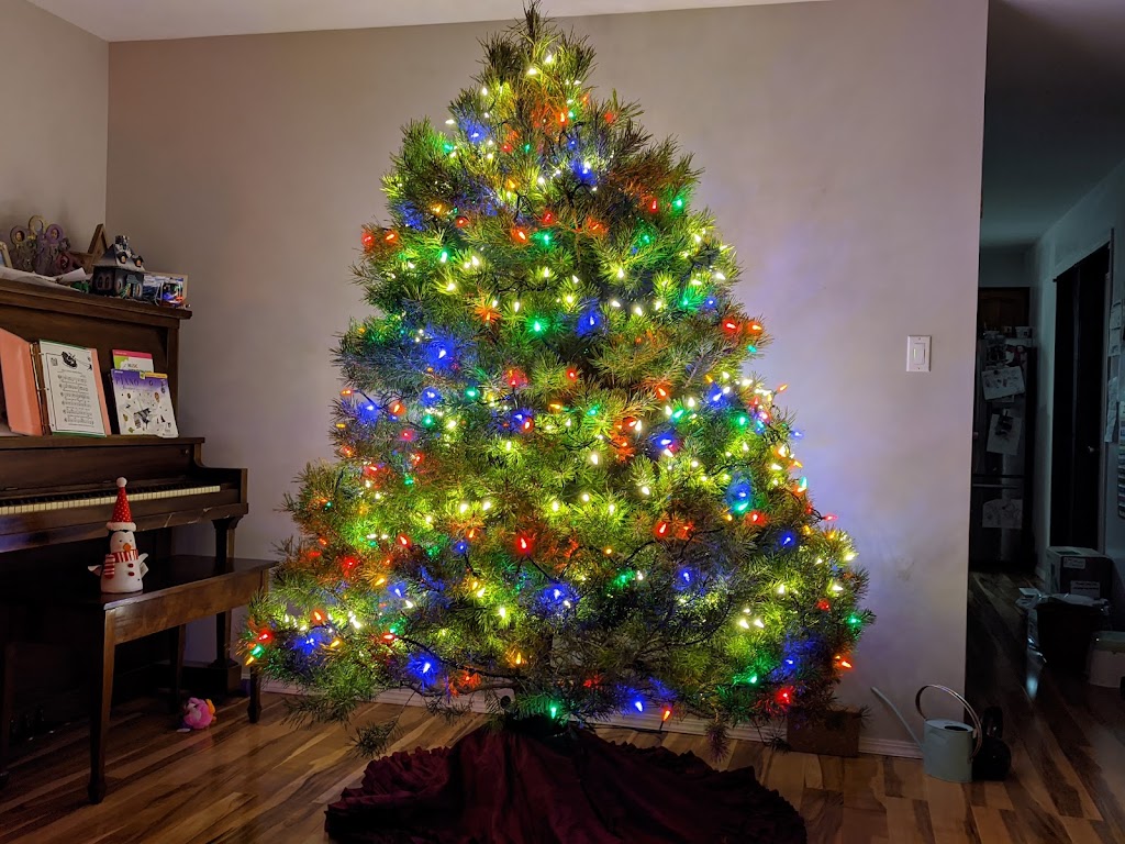 Hill Haven Christmas Trees | Jackson Lake Provincial Rd. 352 South East on Rural Rd. 59 North Gate number 58142 NE28, 10 12W, Sidney, MB R0H 1L0, Canada | Phone: (204) 466-2654