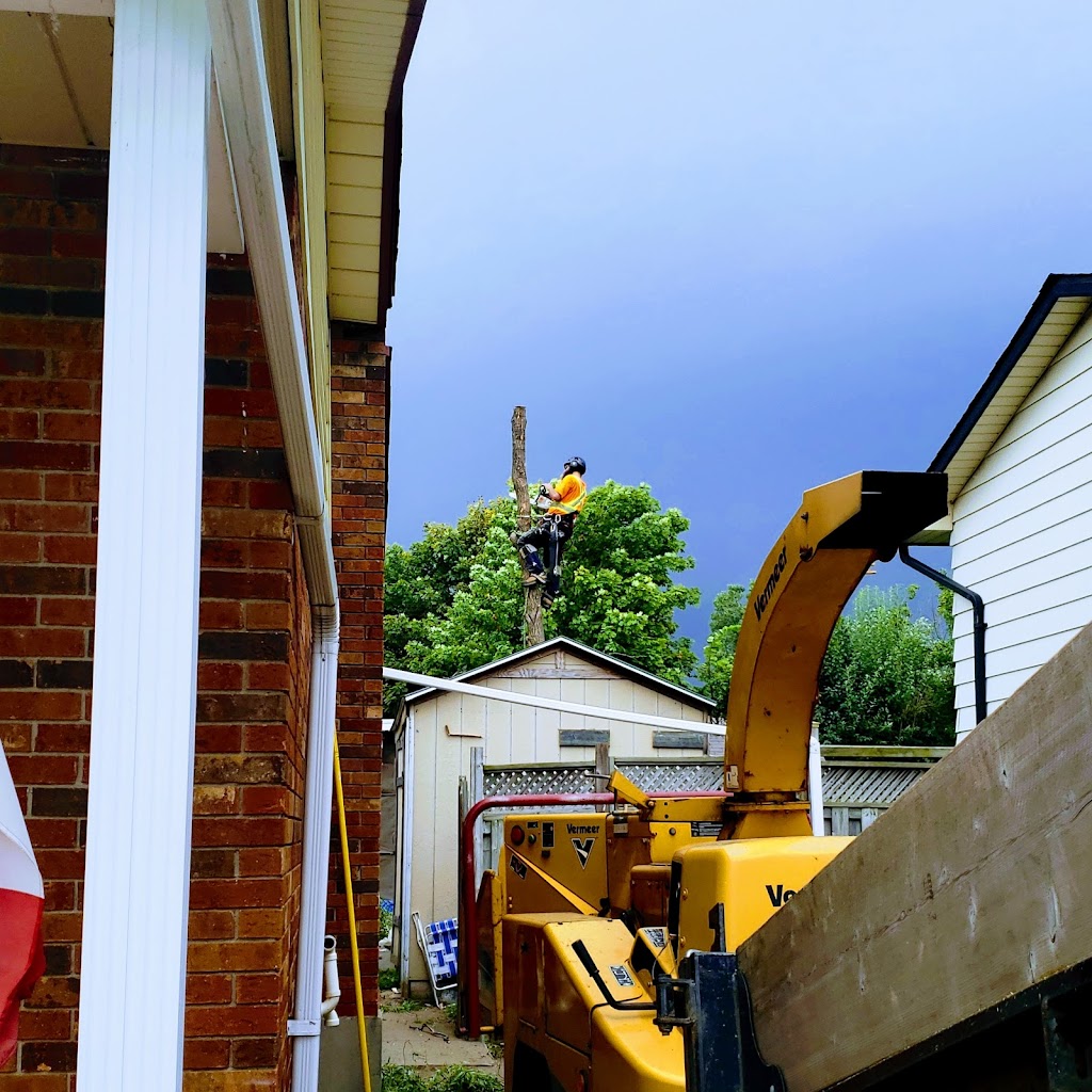 Woodland Services | 103 Brandy Lane Rd, London, ON N6G 4T1, Canada | Phone: (519) 671-6854