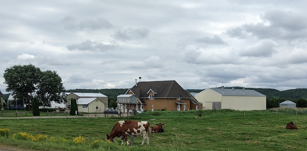 Fromagerie LAutre Versant | 901 3e Rang, Hébertville, QC G8N 1M6, Canada | Phone: (418) 344-1975