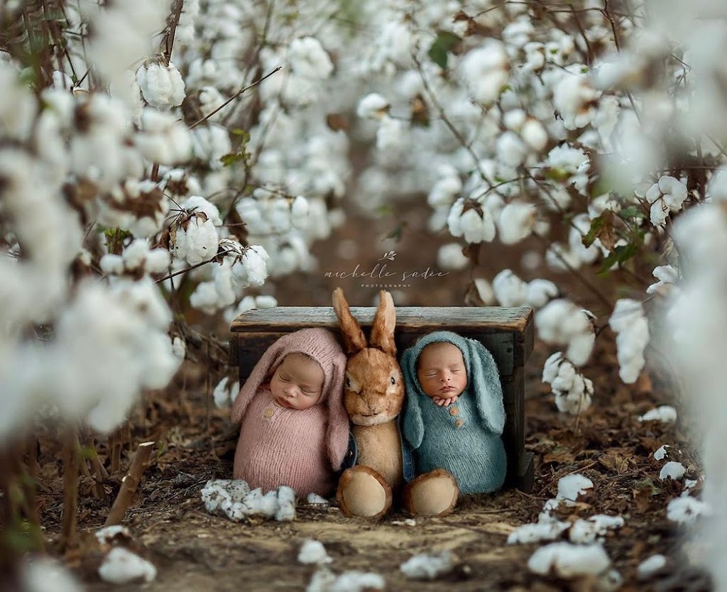 Michelle Sadee Photography | 15 Lynx Cl, St. Albert, AB T8N 5T2, Canada | Phone: (780) 690-2361