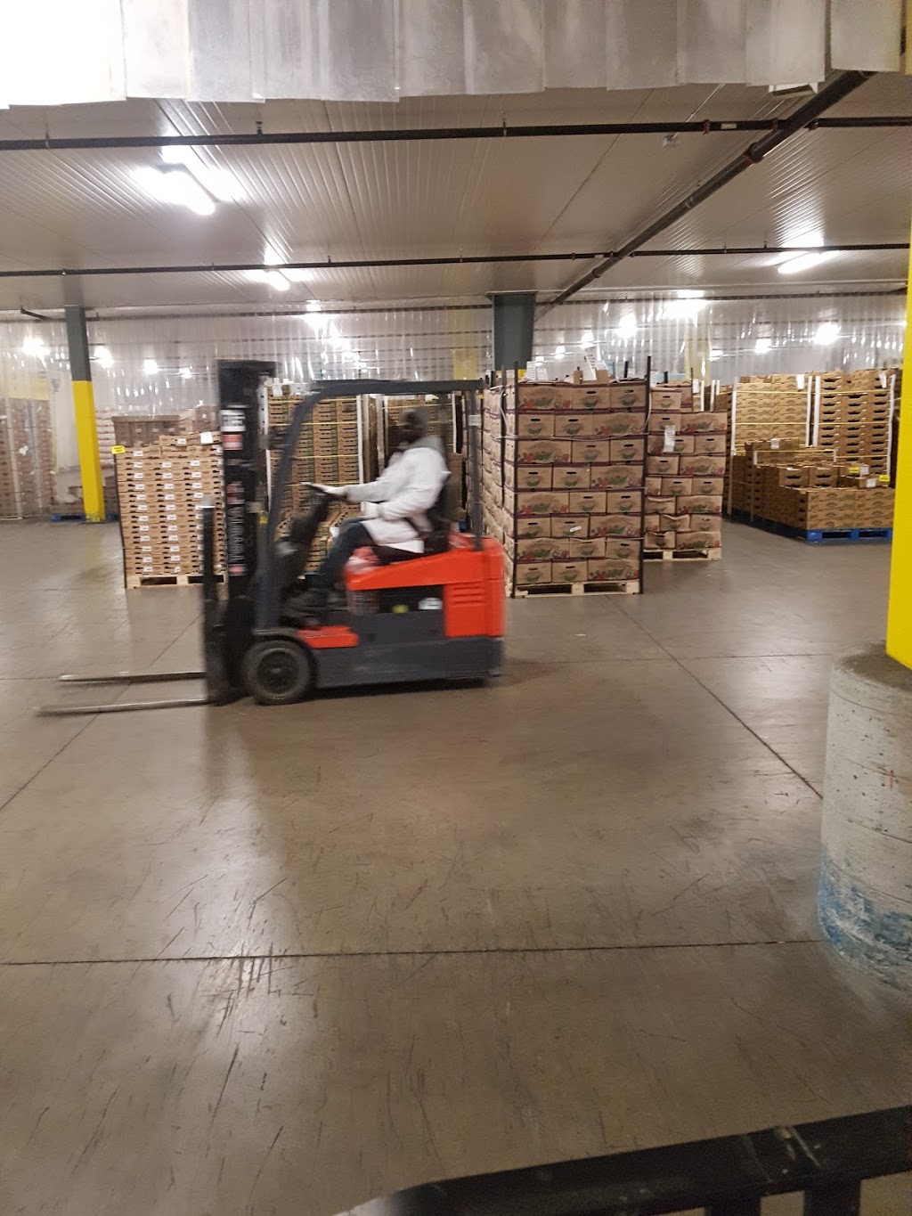 Topline Farms | 500 County Rd 18, Leamington, ON N8H 3V5, Canada | Phone: (519) 322-2351