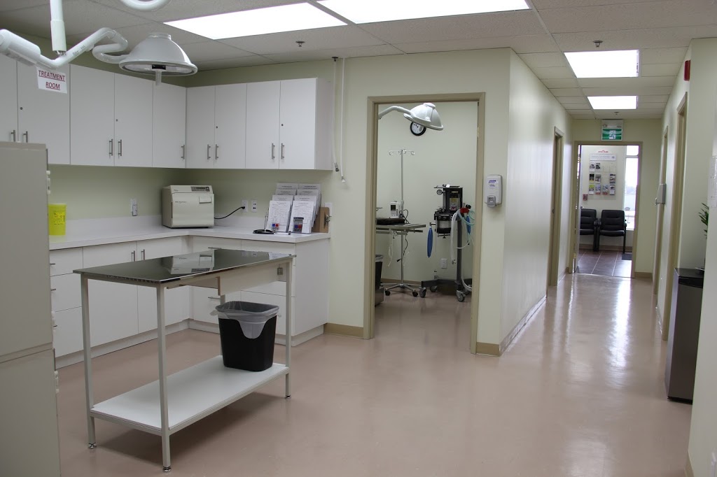 Royal Parkside Animal Hospital | 750 Big Bay Point Rd, Barrie, ON L4M 4S6, Canada | Phone: (705) 503-7724
