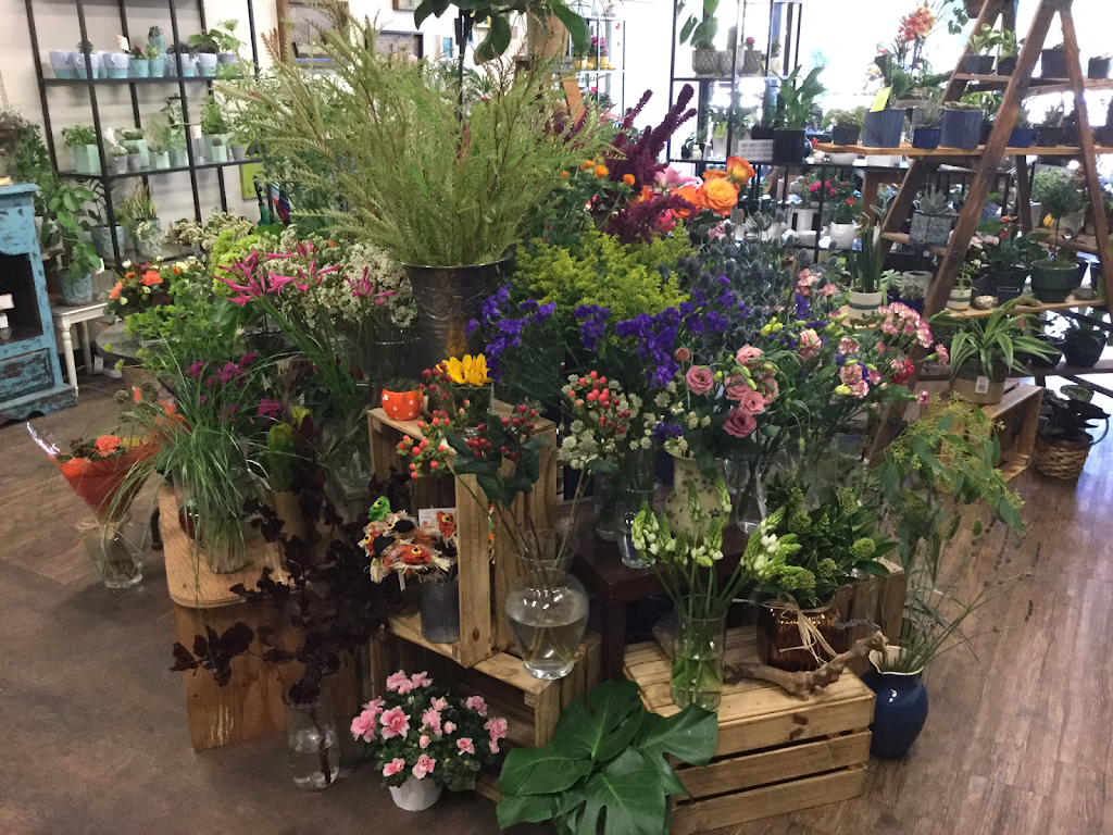 Willow Florists | 401 Dollarton Hwy N, North Vancouver, BC V7G 1M9, Canada | Phone: (604) 988-6290