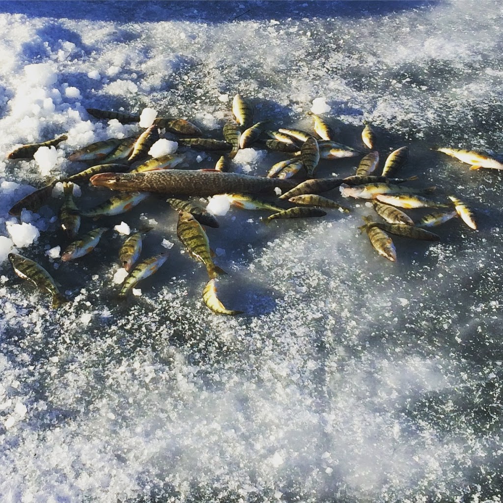 Jimmy Riggin’ Ice Fishing | 136 Erie Blvd, Port Rowan, ON N0E 1M0, Canada | Phone: (519) 586-7990