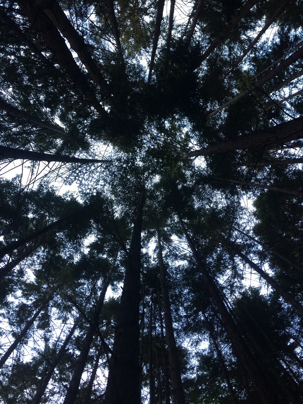 Capstan Lane Park | Pender Island, BC V0N 2M2, Canada