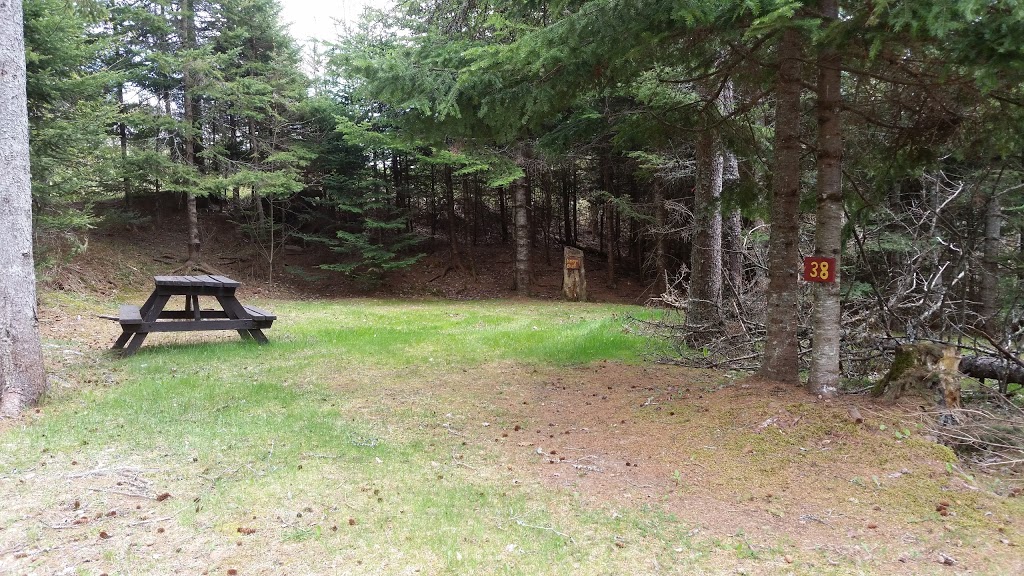 Wild Nature Campground | 20961 Nova Scotia Trunk 2, Shubenacadie East, NS B0N 2H0, Canada | Phone: (902) 758-1631