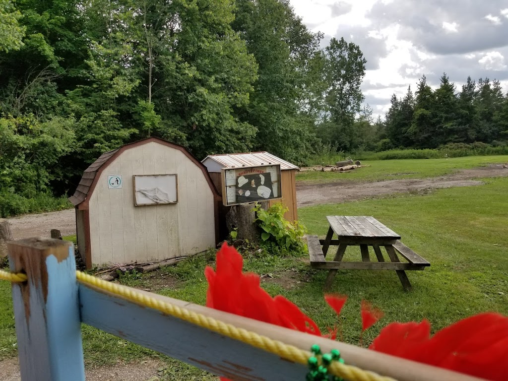 Shady Pines Campgrounds | 11316 Petty St, Ailsa Craig, ON N0M 1A0, Canada | Phone: (519) 232-4210