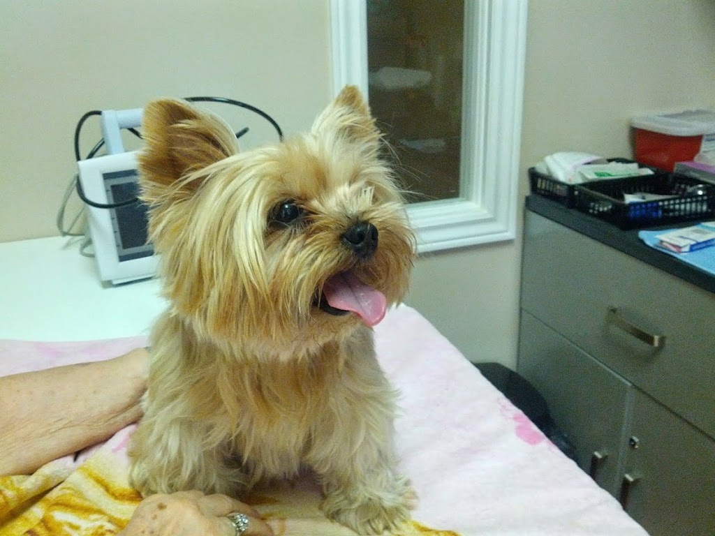 Yonge 16th Animal Hospital | 9218 Yonge St, Richmond Hill, ON L4C 7A2, Canada | Phone: (905) 597-1012