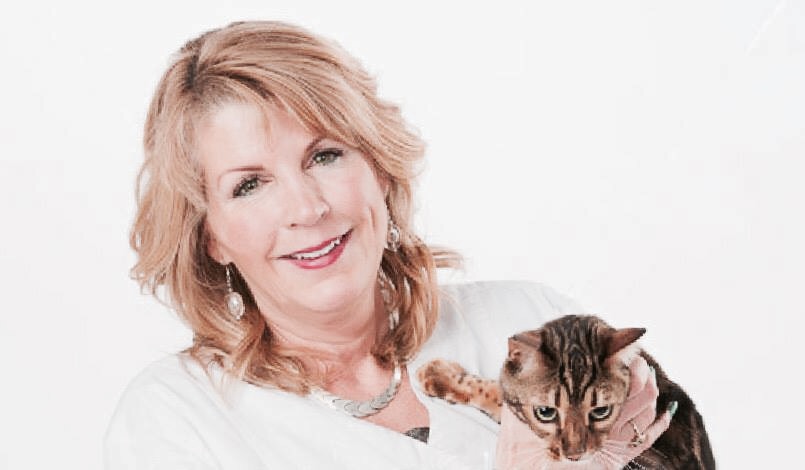 veterinaire a domicile Vetmobilis.com | 1312 Rue de Montarville, Saint-Bruno-de-Montarville, QC J3V 3T4, Canada | Phone: (514) 773-7007