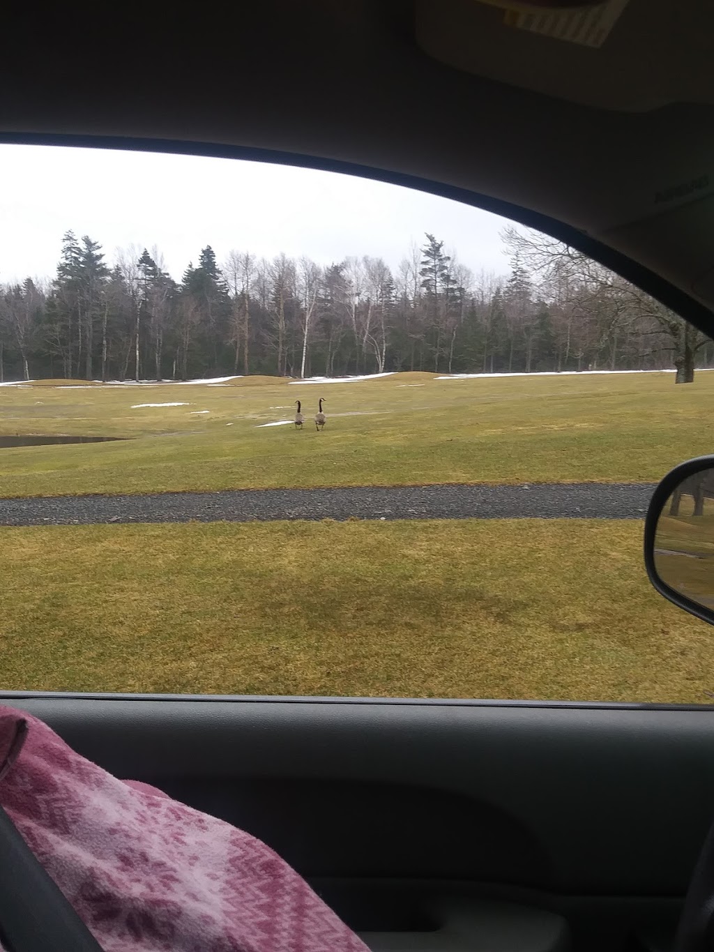Abercrombie Country Club | 79 Abercrombie Loop, New Glasgow, NS B2H 5C6, Canada | Phone: (902) 752-6120