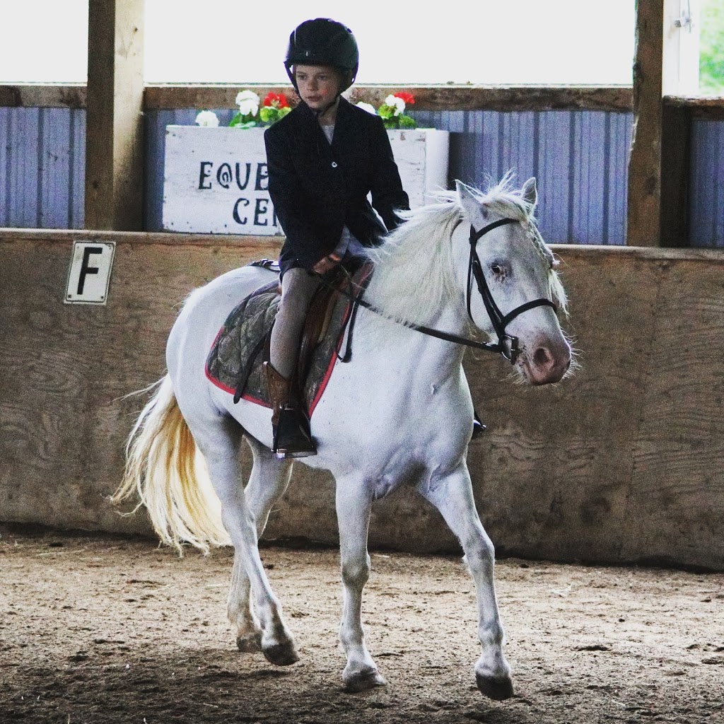 JL Equestrian Centre | 1110 Huron Rd, Petersburg, ON N0B 2H0, Canada | Phone: (226) 808-3518