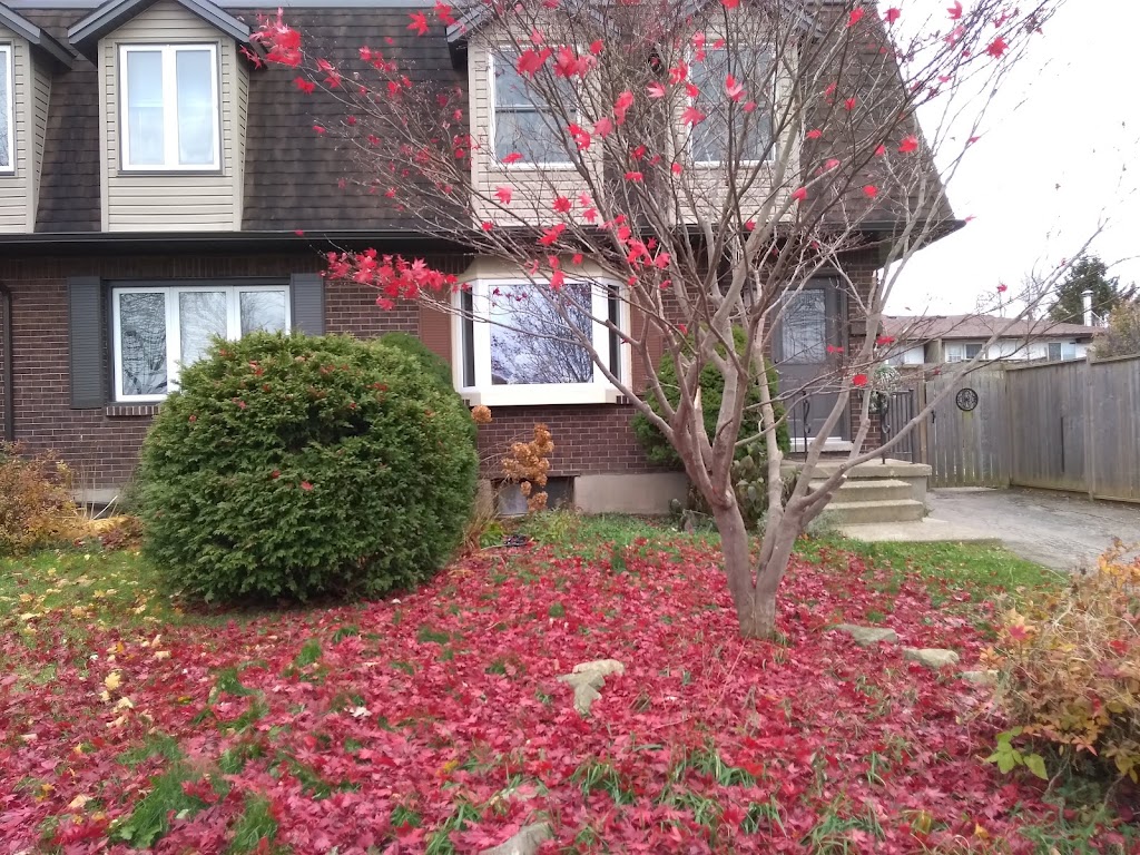 Mary Campbell Housing Co-Op | 587 Talbot St, London, ON N6A 2T2, Canada | Phone: (519) 438-8941