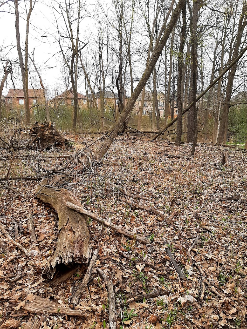Heatherglen Valley | Brampton, ON L6Y 0B7, Canada | Phone: (905) 874-2000