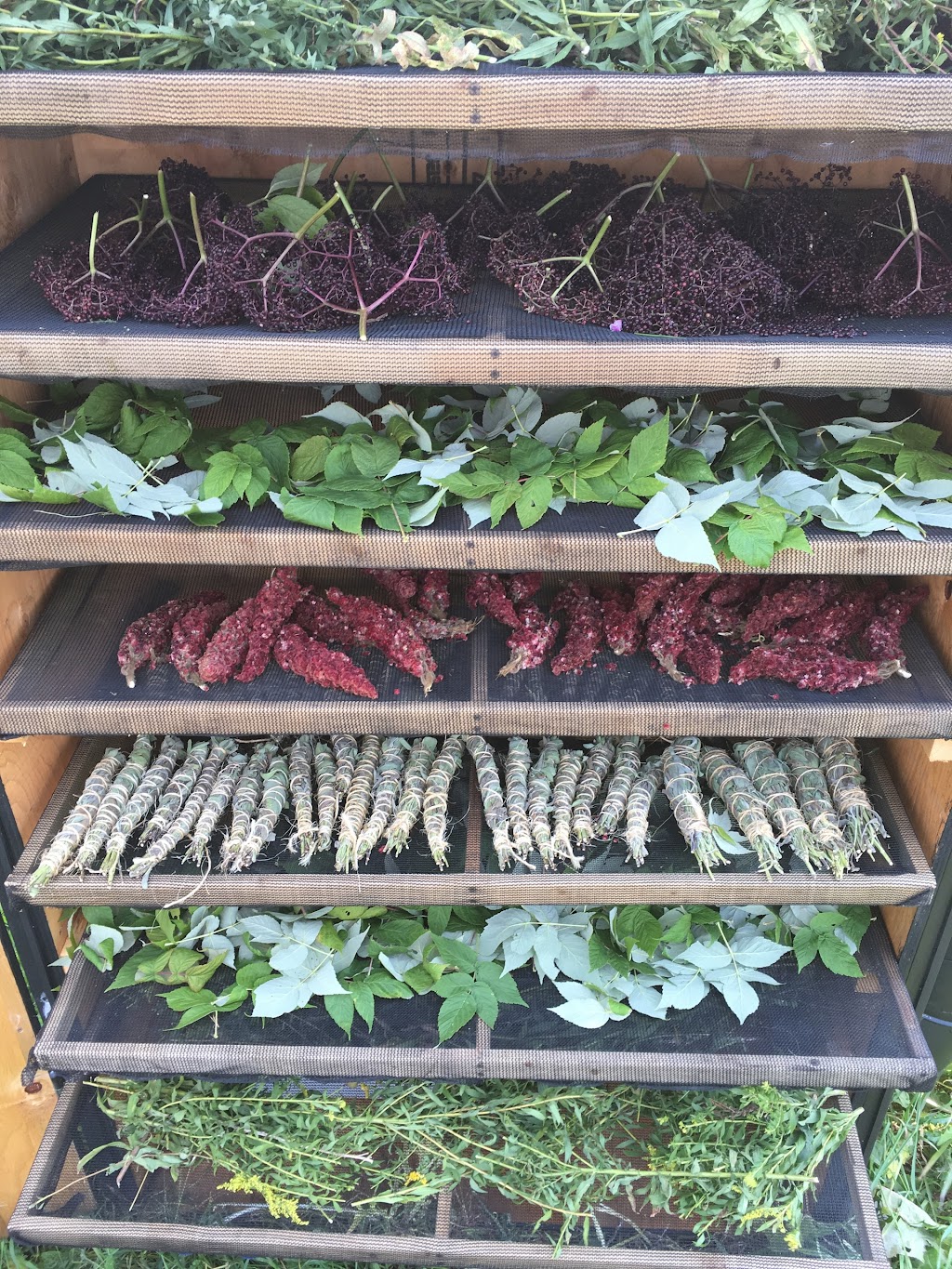 Foragers Farms | 3517 Rowe Rd, Cobourg, ON K9A 4J7, Canada | Phone: (905) 999-3243
