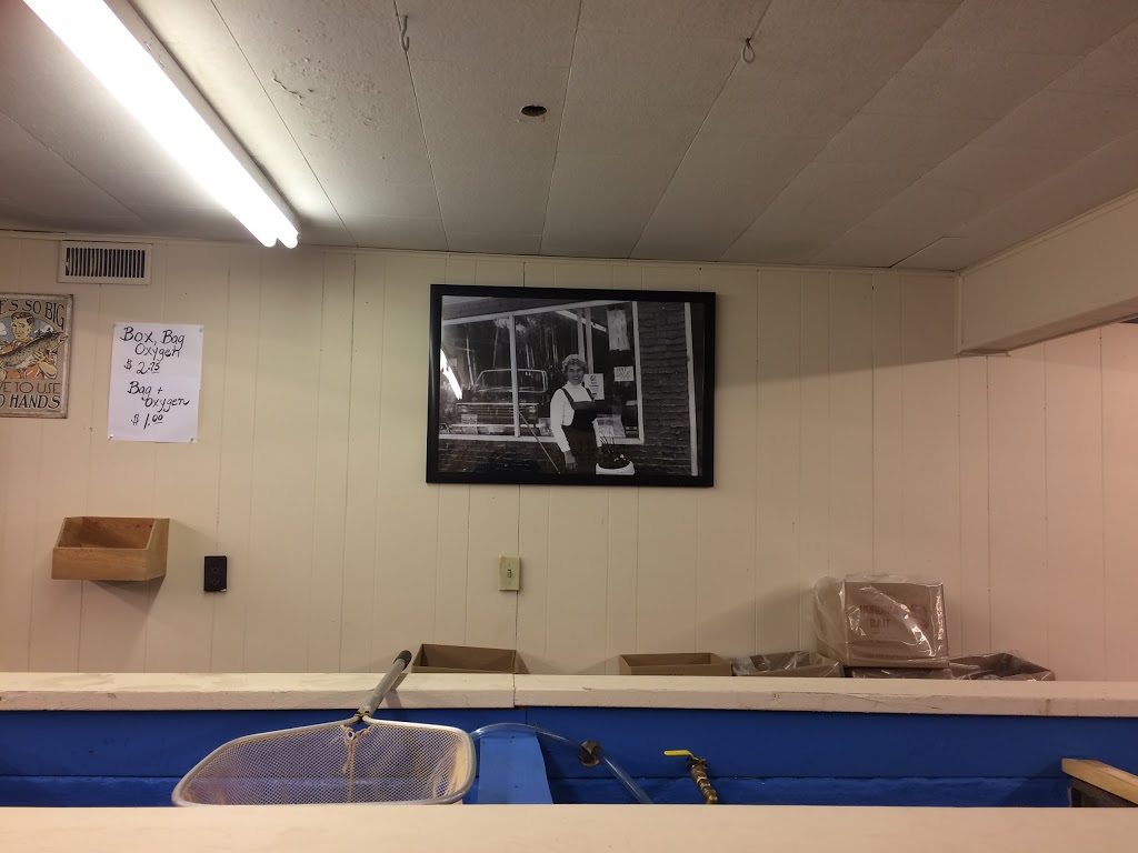 Huronia Bait | 1721 Heron Dr, Waubaushene, ON L0K 2C0, Canada | Phone: (705) 538-2573