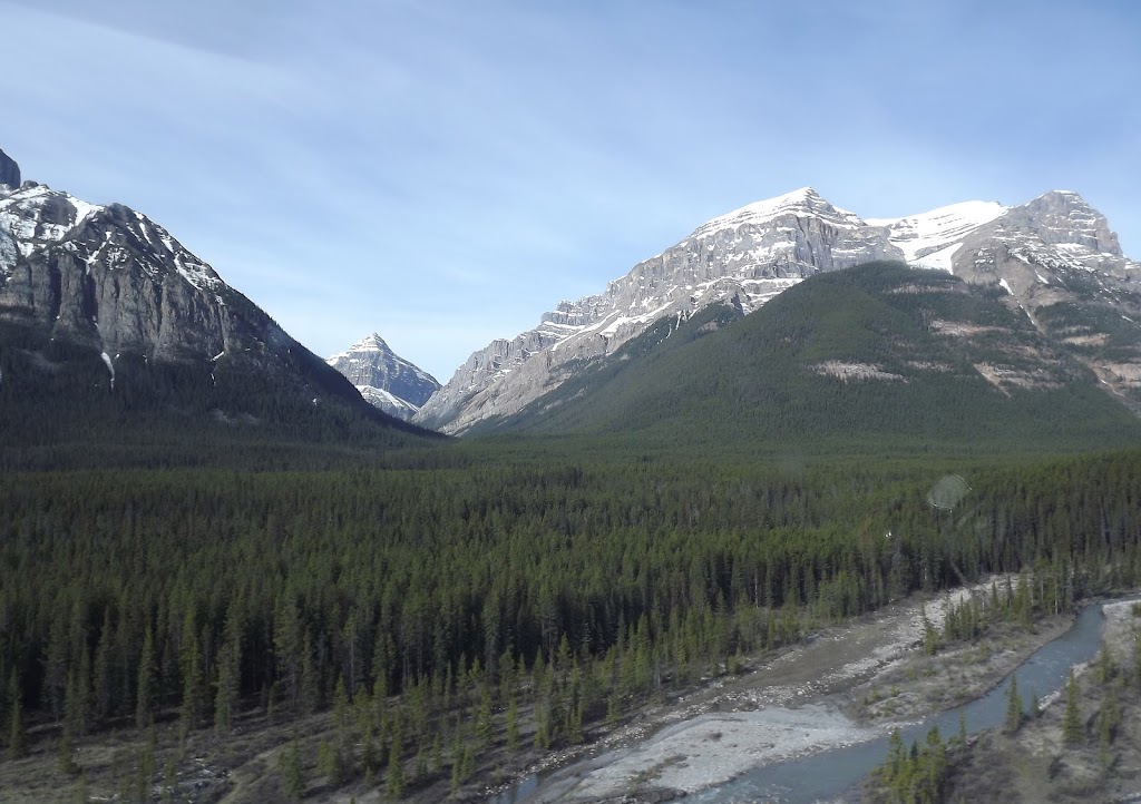 Cheechako cabins | 205 Grouse Meadow Ln, Nordegg, AB T0M 2H0, Canada | Phone: (403) 721-2230
