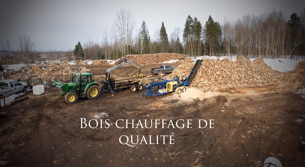 Bois chauffage dionne | Quebec City, QC G2G 2G5, Canada | Phone: (418) 933-9836