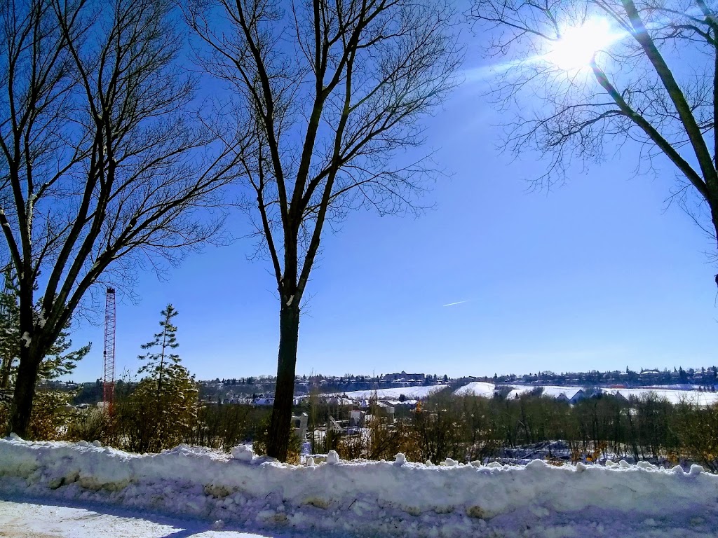 Henrietta Muir Edwards Park | 9704 98 Ave NW, Edmonton, AB T6C 4P6, Canada | Phone: (780) 442-5311
