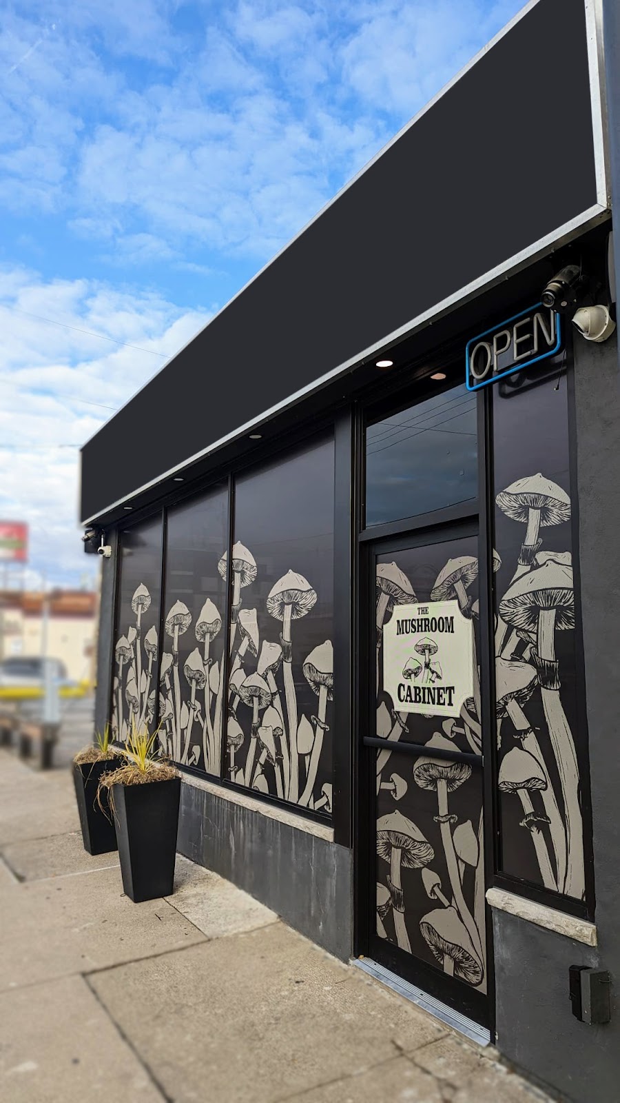 The Mushroom Cabinet | 1459 Main St E, Hamilton, ON L8K 1C5, Canada | Phone: (289) 556-4985