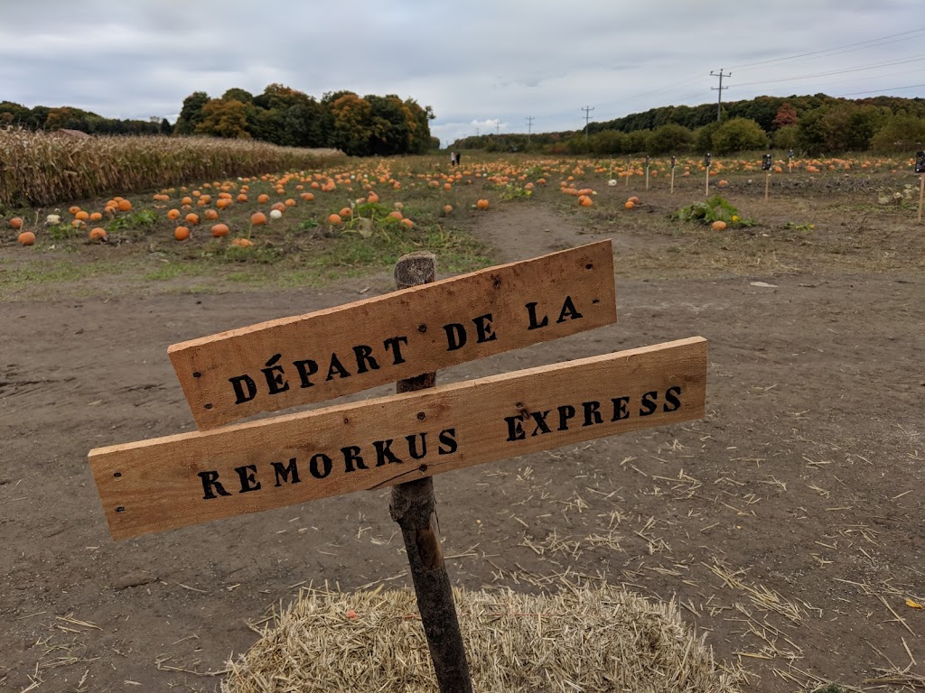 Sortilège Le Labyrinthe | 61 Rue Ricard, Saint-Alexis, QC J0K 1T0, Canada | Phone: (450) 803-0331