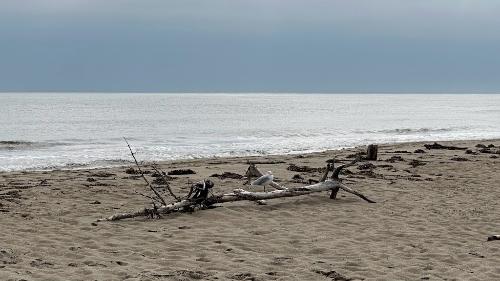 Cantine Plage Kellys Beach | Kouchibouguac National Park, Saint-Louis de Kent, NB E4X 1V2, Canada | Phone: (506) 876-4567