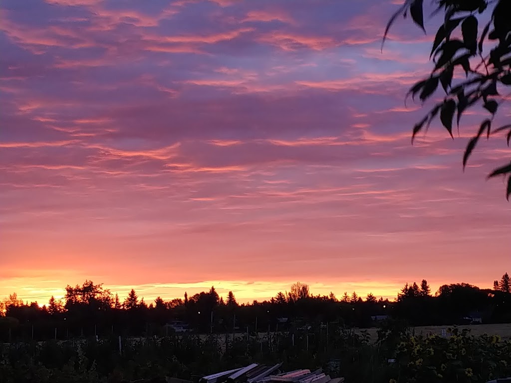 Prairie Urban Farm | 118 St NW, Edmonton, AB T6H 2V8, Canada | Phone: (780) 492-4598