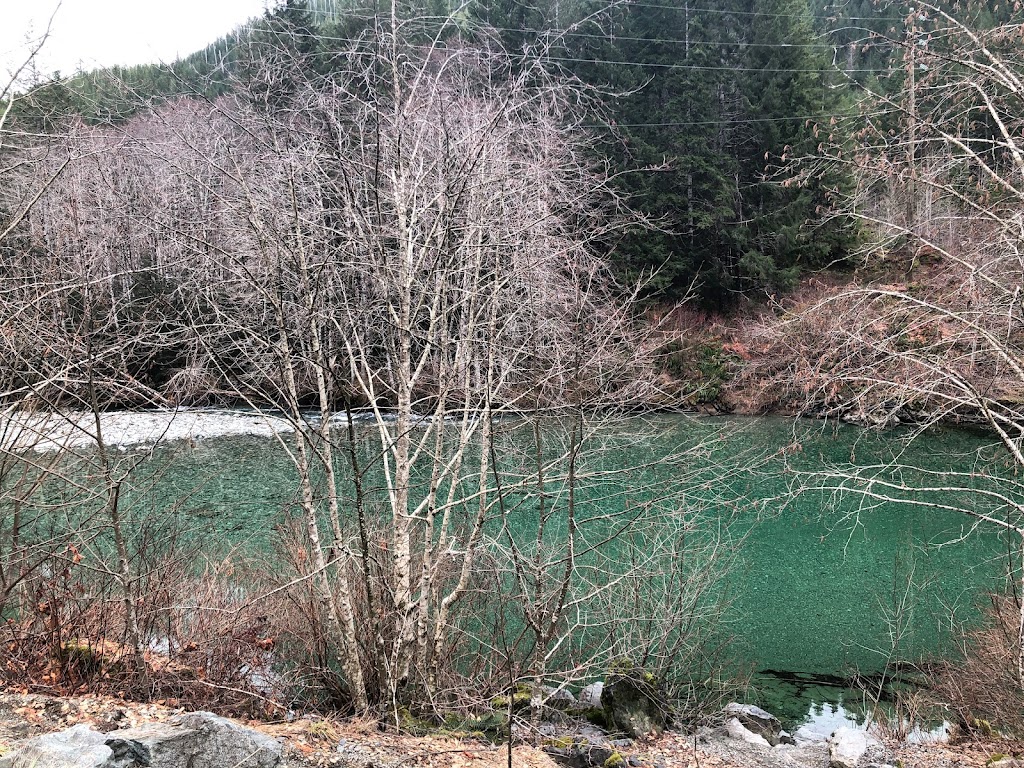 Taylor River | 858 Pacific Rim Hwy, Ucluelet, BC V0R 1W0, Canada | Phone: (800) 661-8773