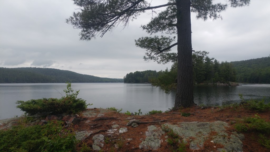 Lac la Pêche | Chemin Sincennes, Pontiac, QC J0X 2W0, Canada
