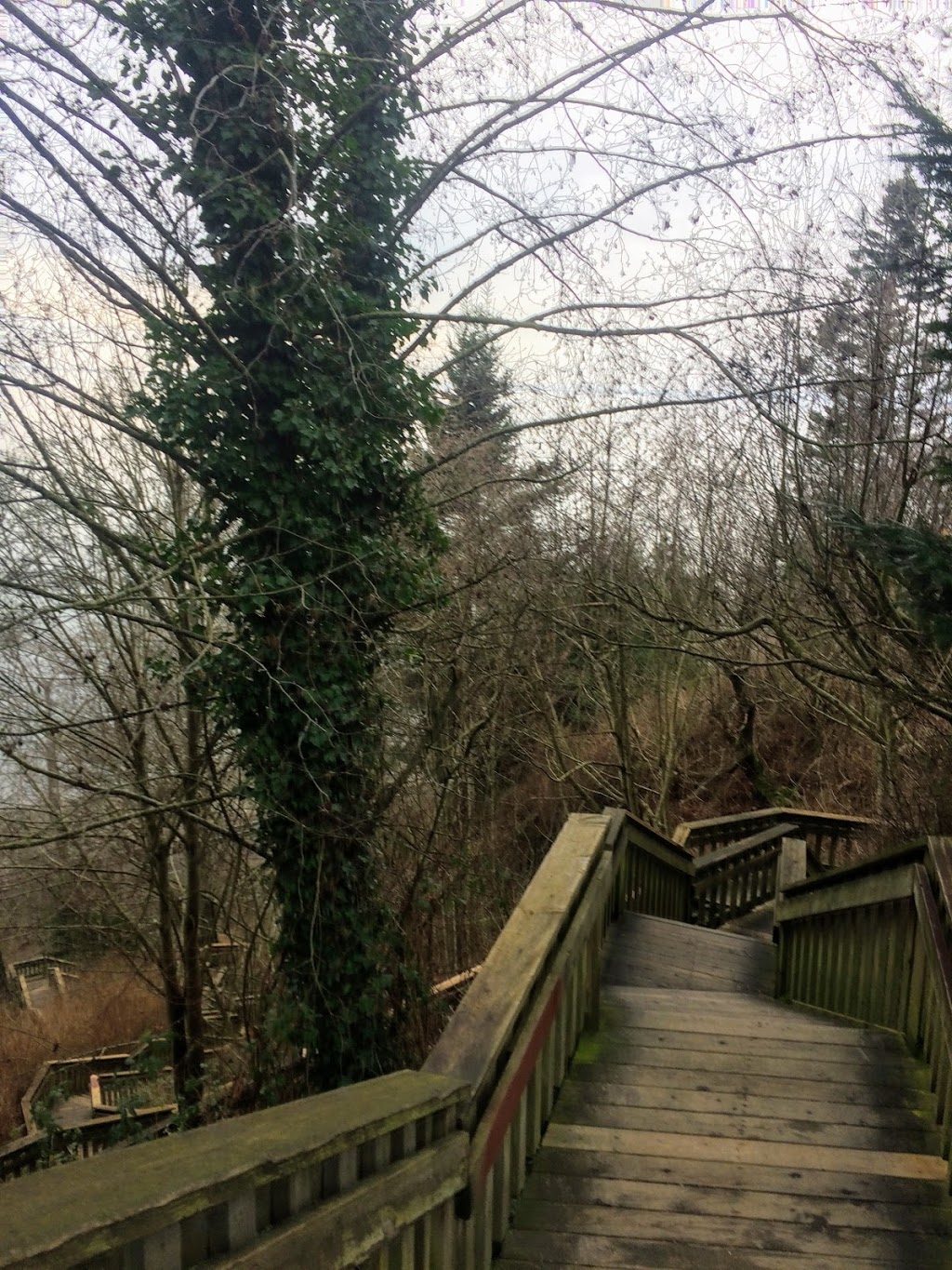 1001 Steps | 15a Ave, Surrey, BC V4A 1L6, Canada | Phone: (604) 501-5050