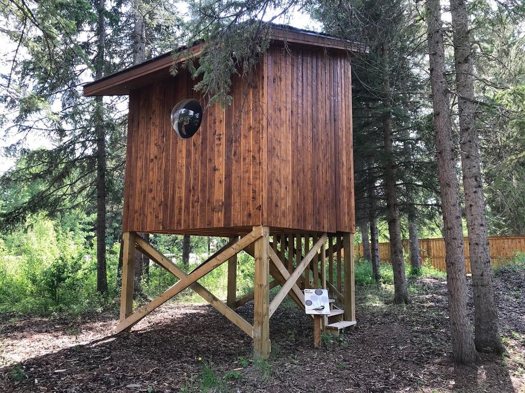 Medicine River Wildlife Centre | Box 115, Spruce View, AB T0M 1V0, Canada | Phone: (403) 728-3467