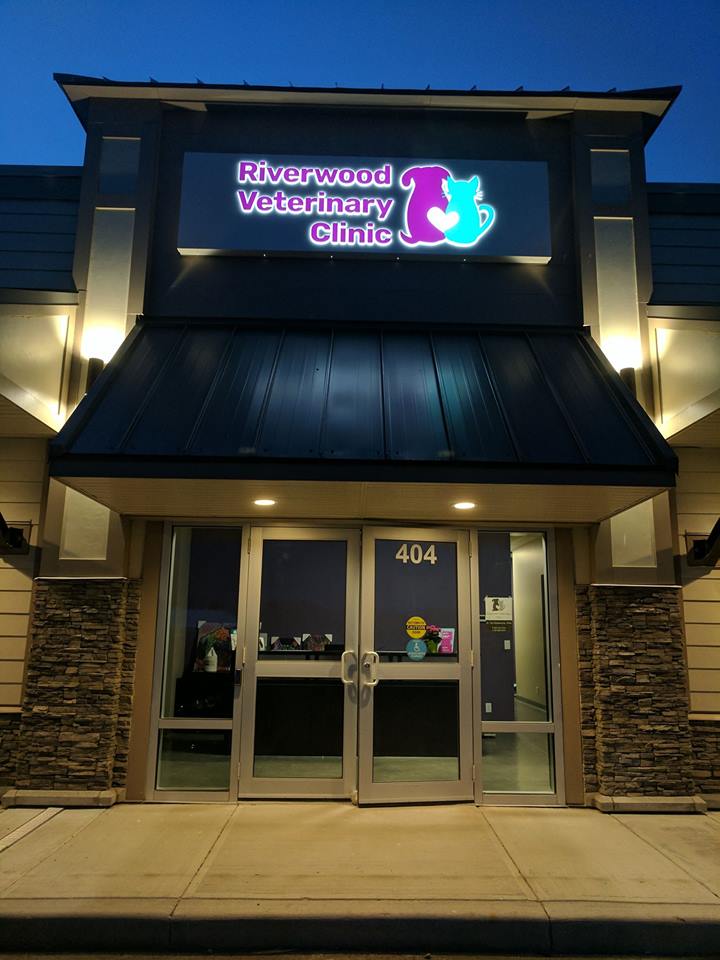 Riverwood Veterinary Clinic | 404 High Country Dr NW, High River, AB T1V 0J4, Canada | Phone: (403) 744-5164
