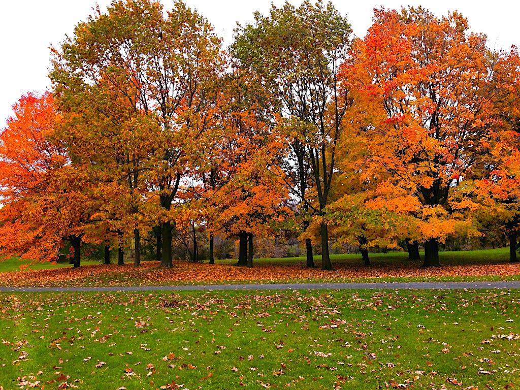Parc Maisonneuve | 4601 Rue Sherbrooke E, Montréal, QC H1X 2B1, Canada | Phone: (514) 872-0311